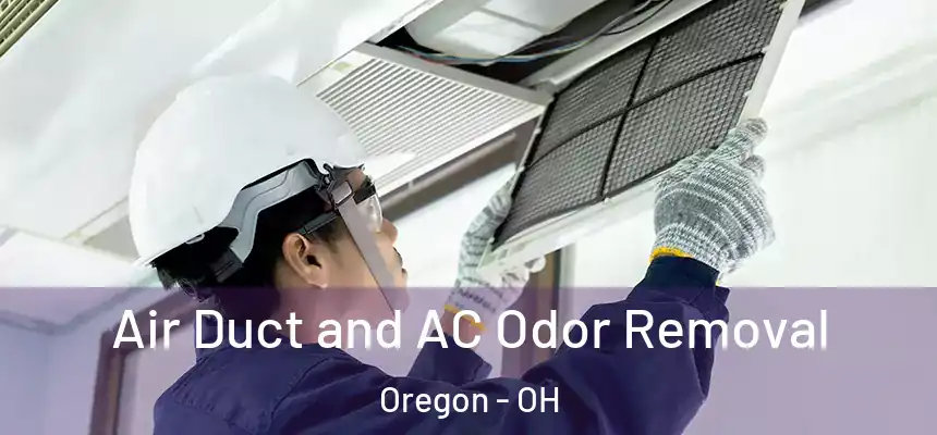  Air Duct and AC Odor Removal Oregon - OH