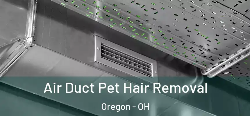  Air Duct Pet Hair Removal Oregon - OH