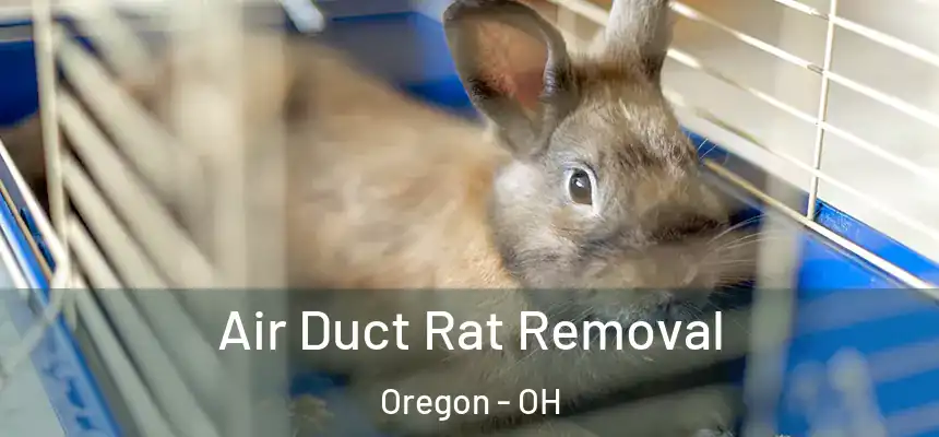  Air Duct Rat Removal Oregon - OH