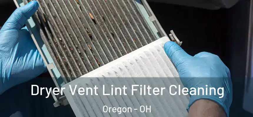  Dryer Vent Lint Filter Cleaning Oregon - OH