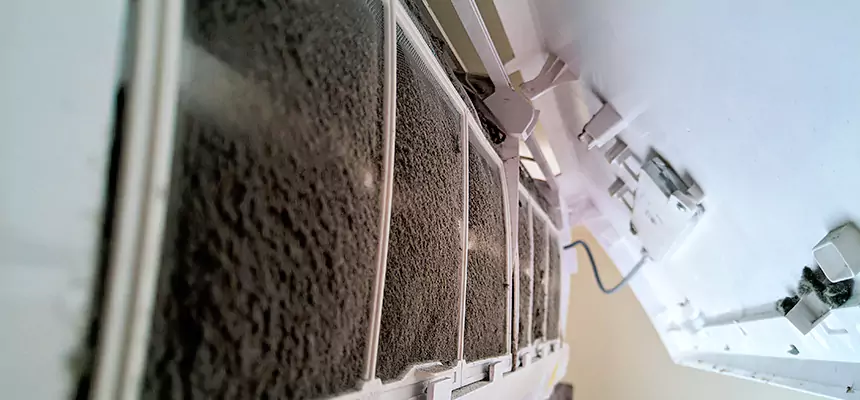 Preventive Air Duct Bacteria Removal in Oregon