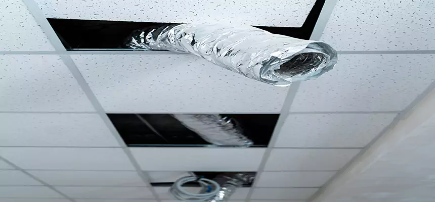 Affordable HVAC Sanitizing After Pest Removal in Oregon