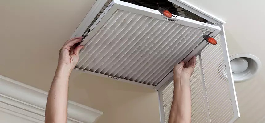 Our Insect Removal from Air Ducts Services in Oregon, OH