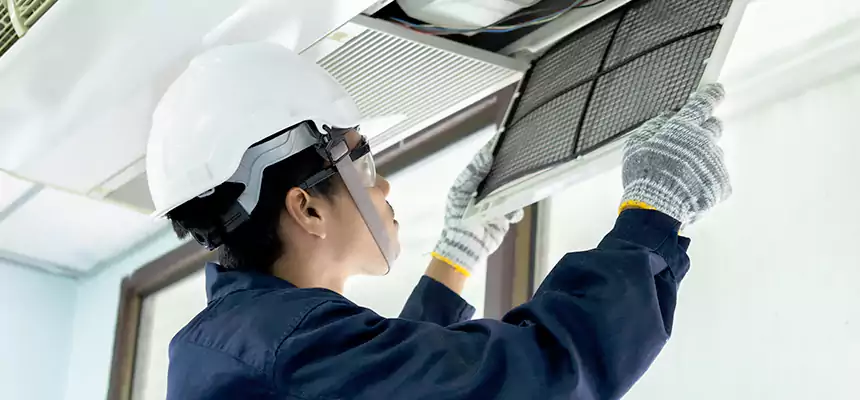 Our Mold & Mildew Removal from Air Ducts Services in Oregon, OH