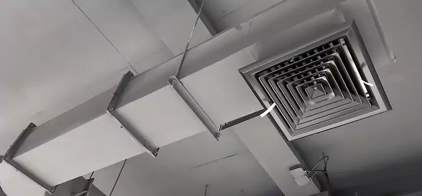 Our Pest Removal From Ducts Services in Oregon, OH