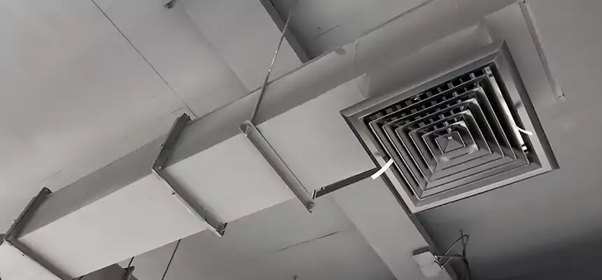 Our Rodent Droppings In Vents Services in Oregon, OH