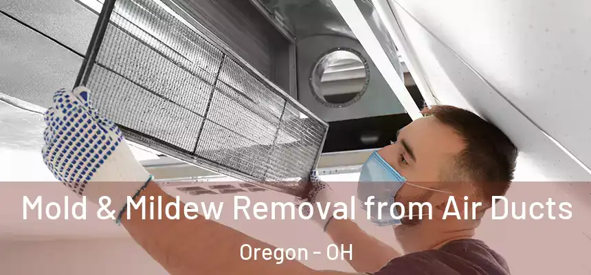 Mold & Mildew Removal from Air Ducts Oregon - OH